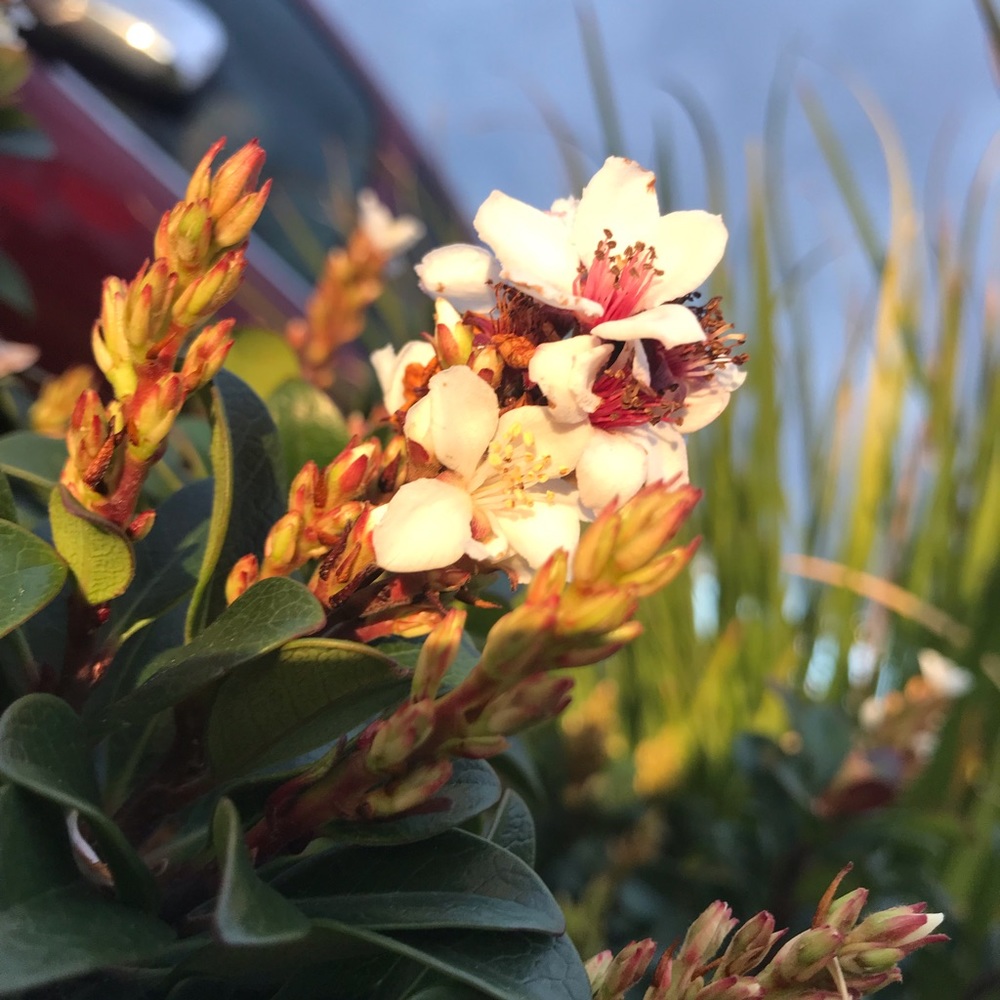 Meet your Posher, Vanessa